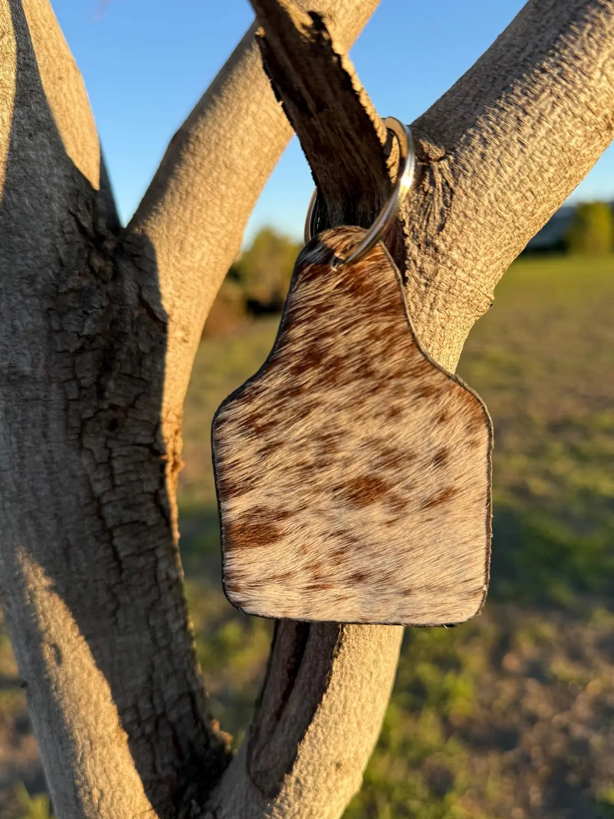 Cattle Tag Cowhide Keyring Tan & White